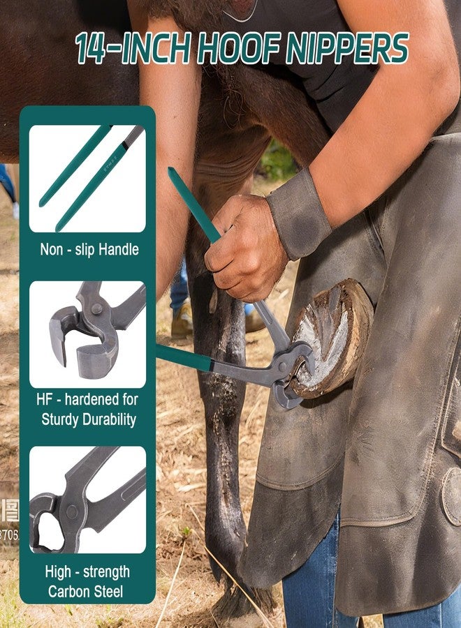 Epidioxi 14-inchHorse Farrier Tool Kit - 7pcs, Carbon Steel Hoof Nipper, Rasp File, Hoof Trimmers, 2 Brushes, Storage Bag & Gloves for Horse, Goat, Pig, Donkey - Image 2